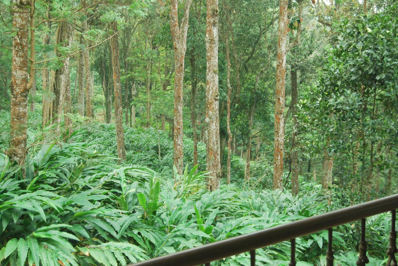 T Cherry Villa مونار المظهر الخارجي الصورة
